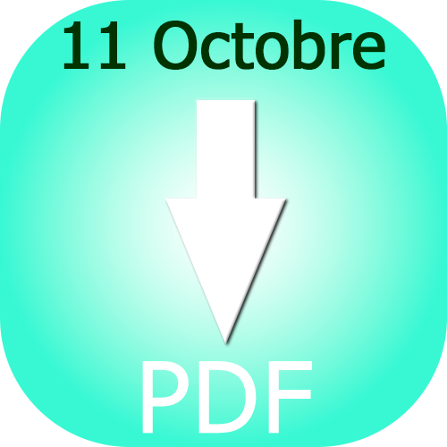 ICONE PDF